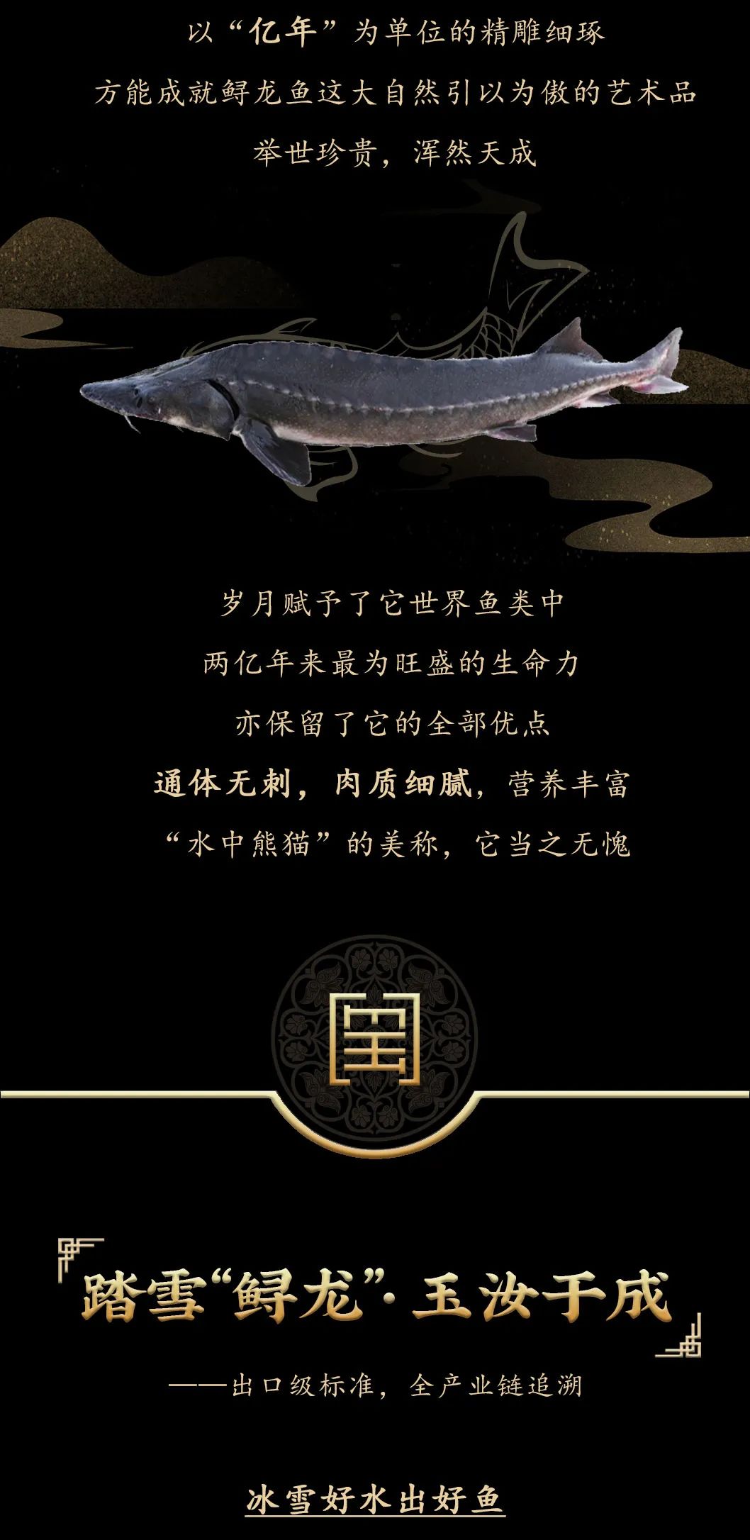 九州鱘龍魚片上新 | 自然臻藏，獻(xiàn)給吃魚有講究的人